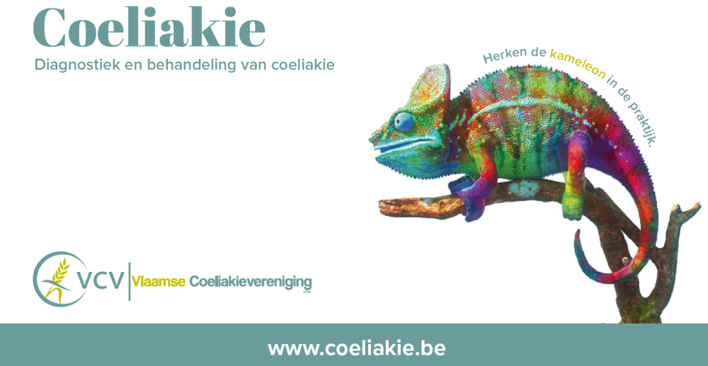 brochure huisartsen
